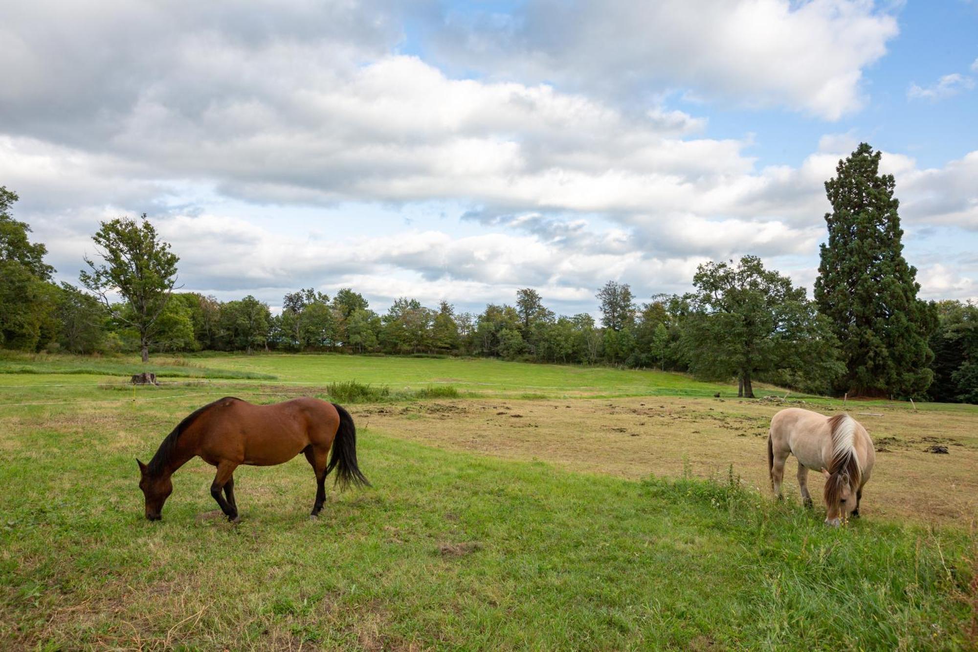 Domaine Et Chateau De Valinches Marols Exteriér fotografie